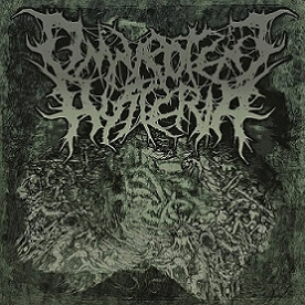 Omnipotent Hysteria : 2015 Promo Omnipotent Hysteria : 2015 Promo